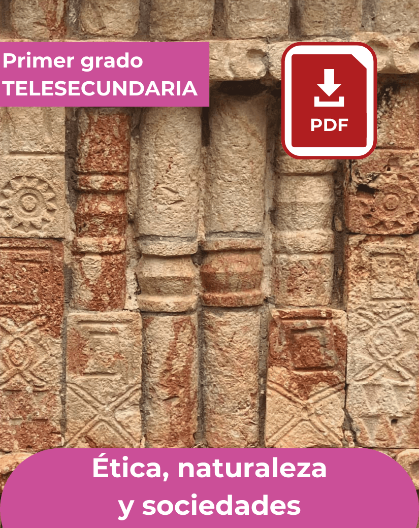 Libro Ética, naturaleza y sociedades de primer grado de telesecundaria en formato PDF para descargar.