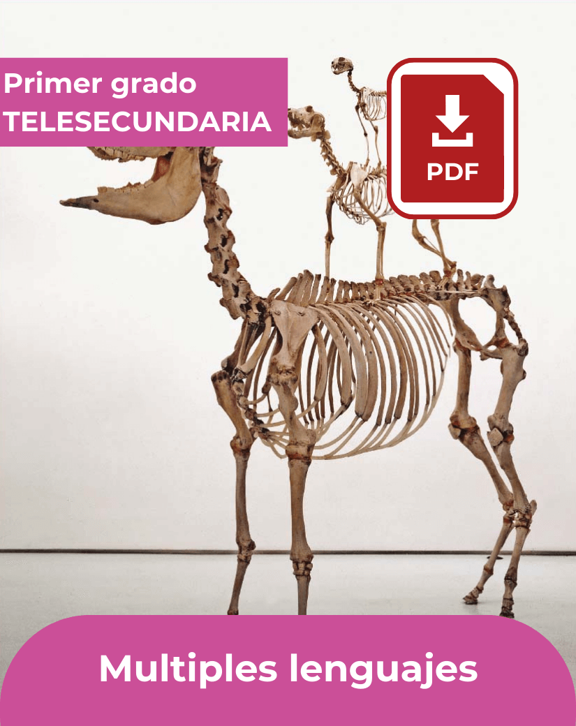 Libro Múltiples lenguajes de primer grado de telesecundaria en formato PDF para descargar.