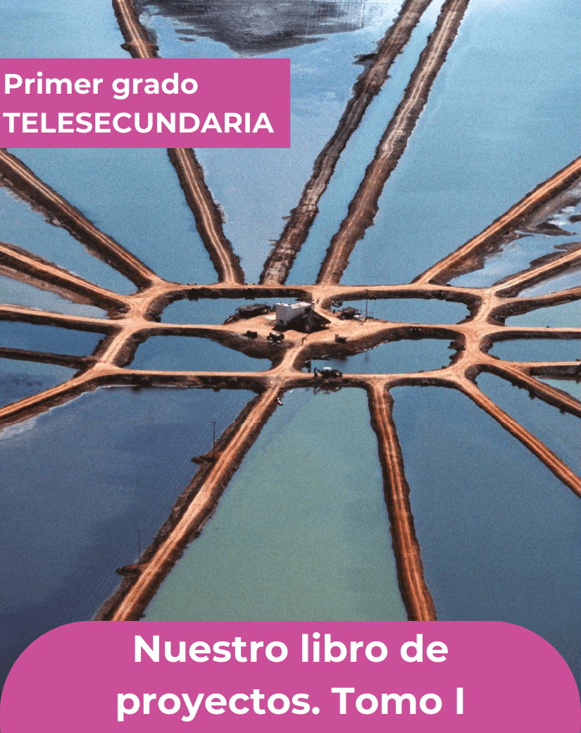 Ficha técnica Nuestro libro de proyectos tomo uno de primer grado de telesecundaria.