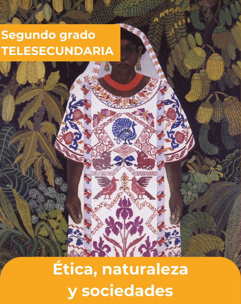 ética, naturaleza y sociedades segundo grado de telesecundaria