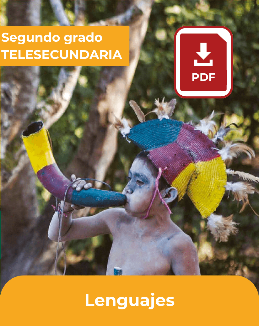 lenguajes de segundo grado de telesecundaria en pdf