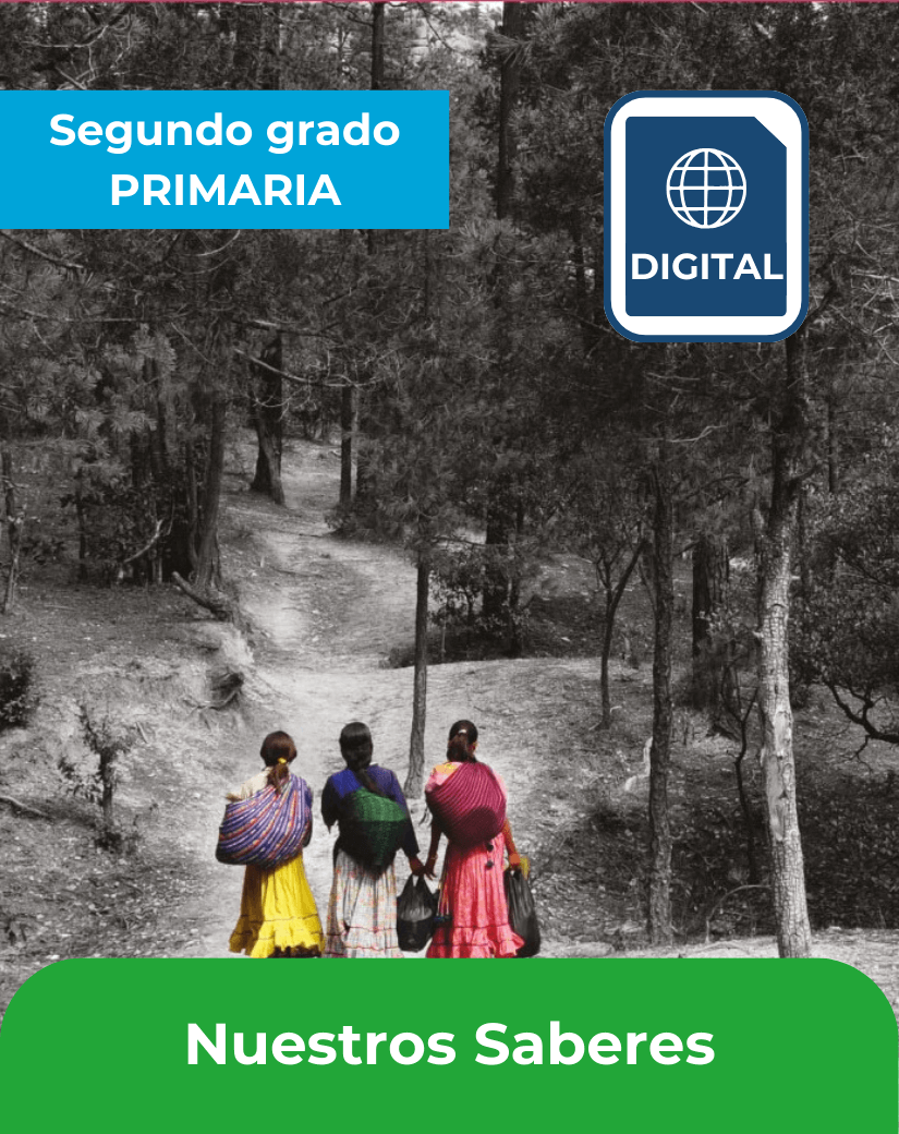 libro digital nuestros saberes segundo grado de primaria