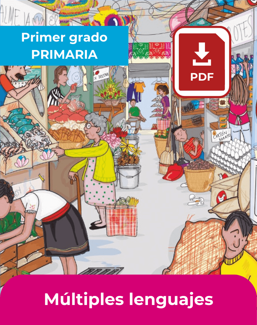 descargar libro múltiples lenguajes primer grado de primaria en pdf