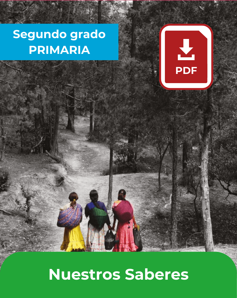 descargar libro nuestros saberes segundo grado de primaria en pdf