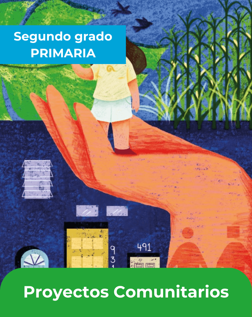 proyectos comunitarios segundo grado de primaria