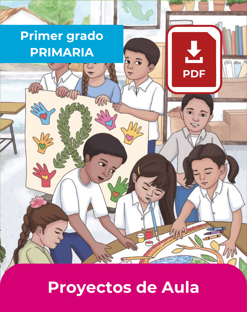 libro proyectos de aula primer grado de primaria en pdf