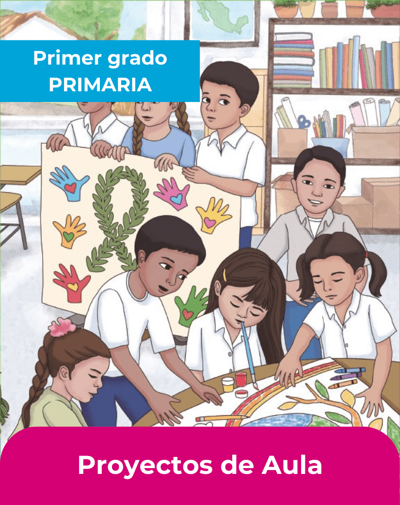 libro proyectos de aula primer grado de primaria