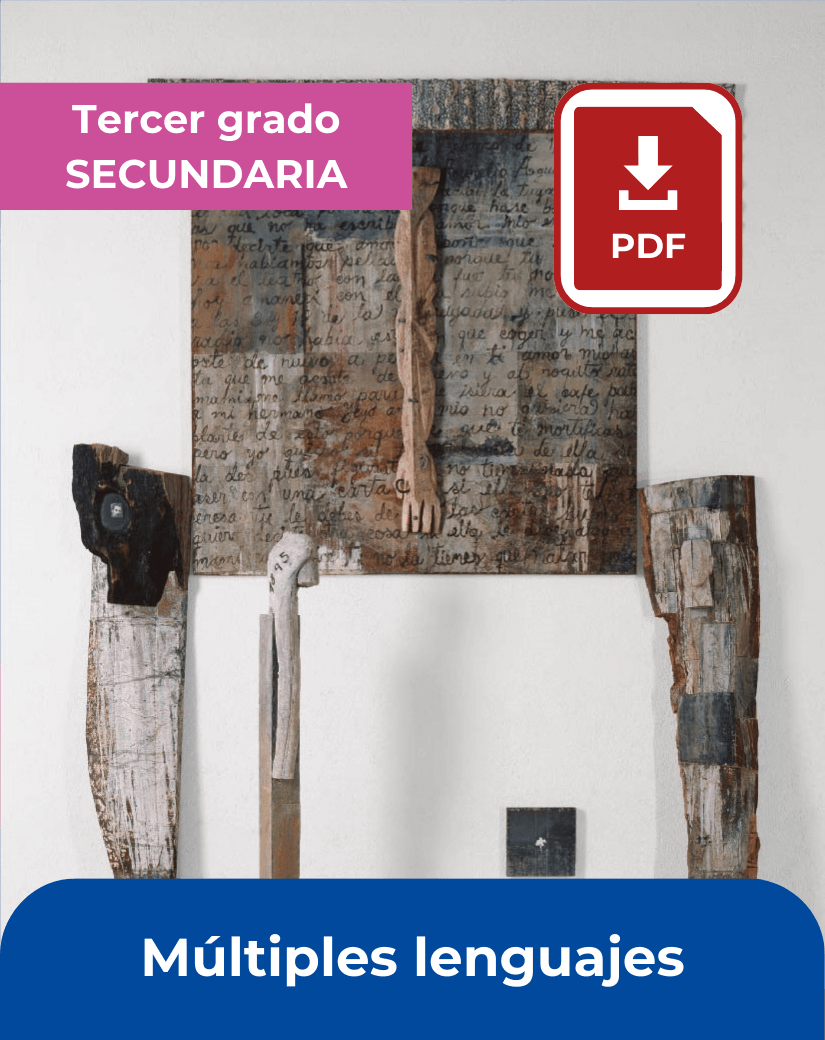 descargar libro Múltiples lenguajes tercer grado de secundaria en pdf