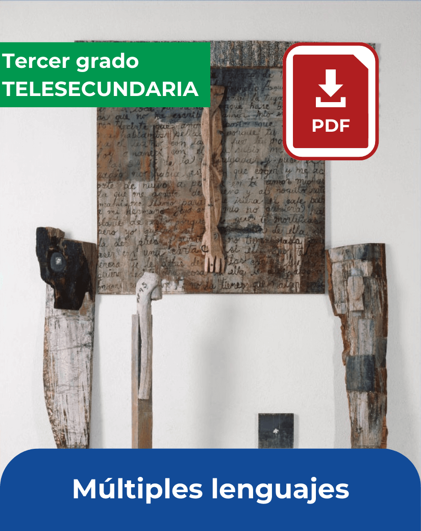 descargar libro Múltiples lenguajes tercer grado de telesecundaria en pdf