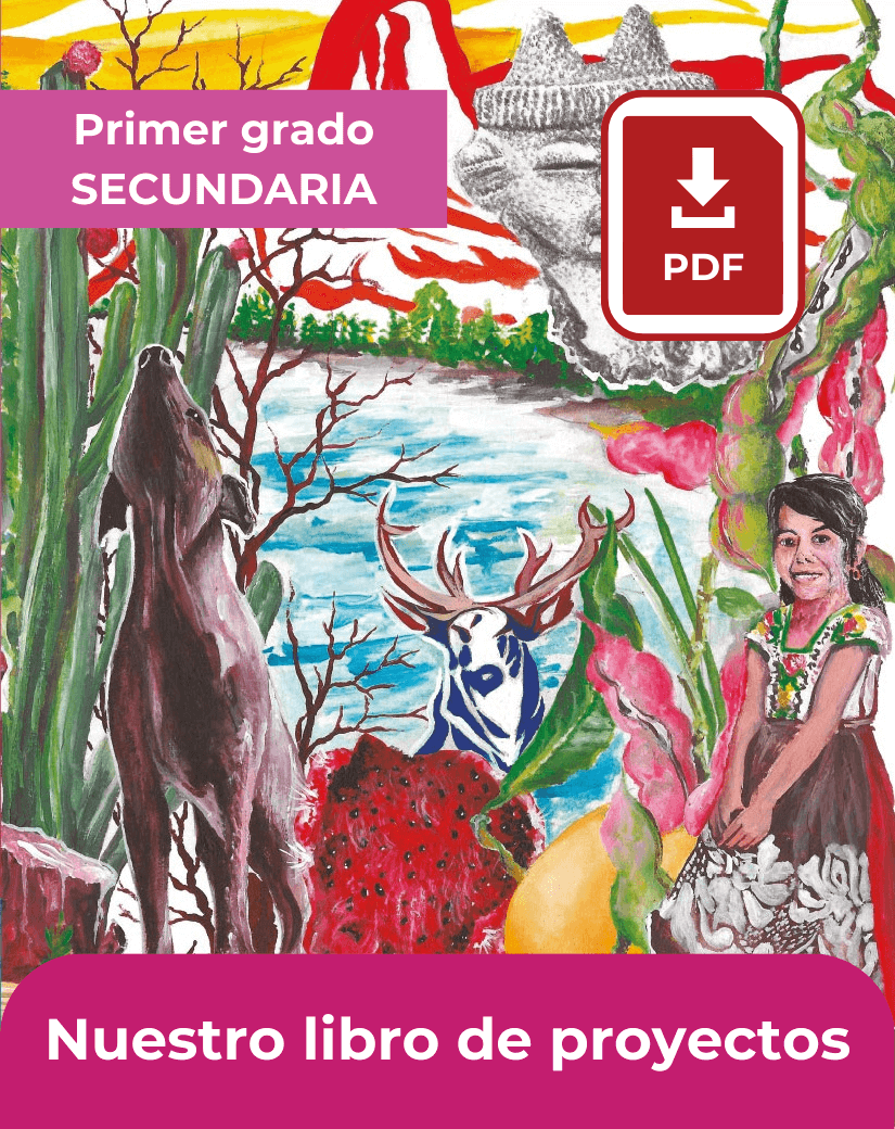 descargar Nuestro libro de proyectos primer grado de secundaria en pdf