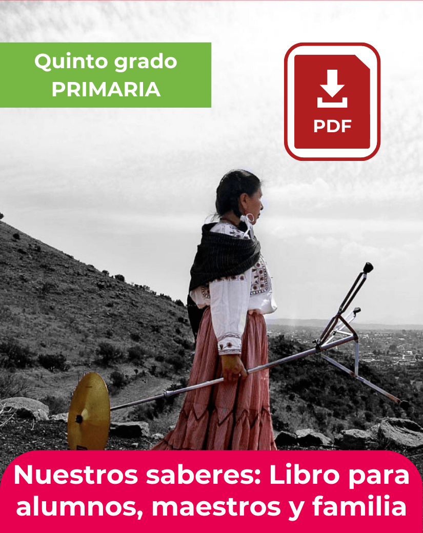 descargar Nuestros saberes: libro para alumnos, maestros y familia quinto grado en pdf