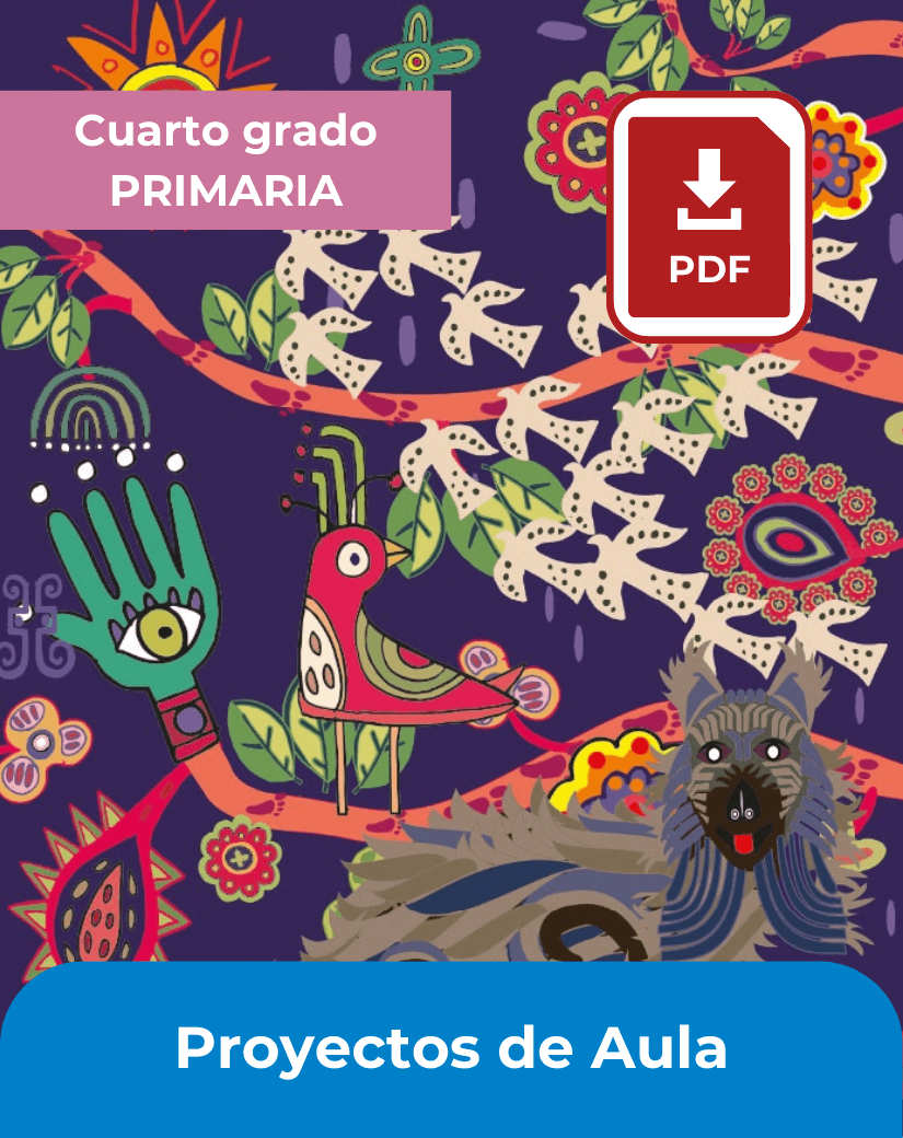 descargar libro Proyectos de aula cuarto grado de primaria en pdf