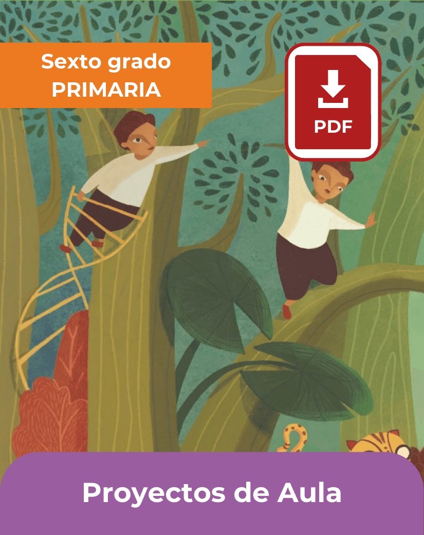 descargar libro proyectos de aula sexto grado de primaria en pdf