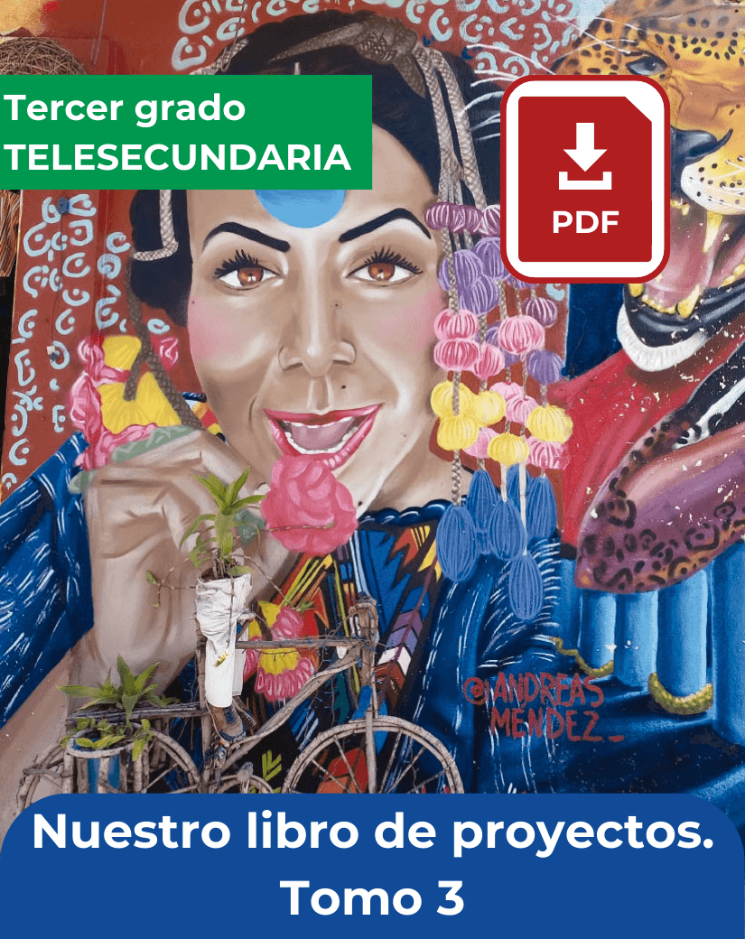 descargar Nuestro libro de proyectos tomo 3 de tercer grado de telesecundaria en pdf