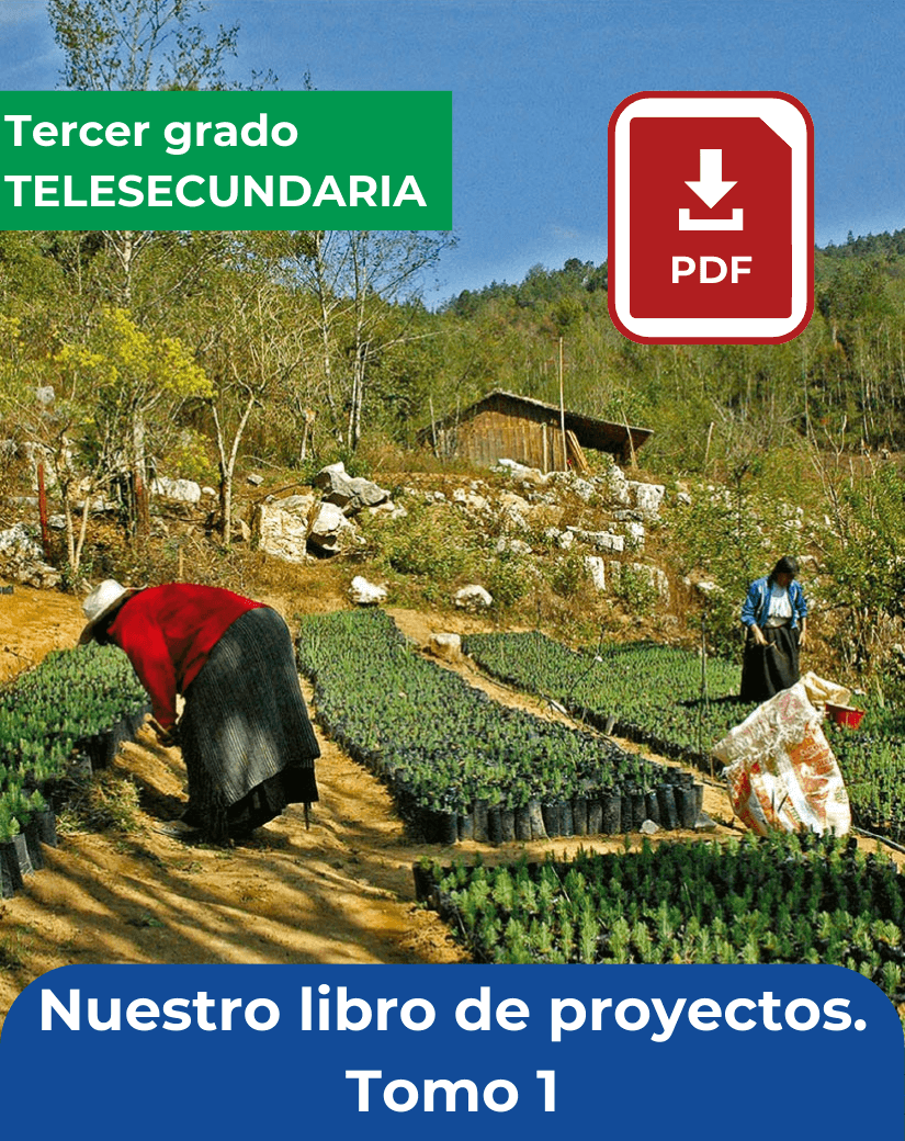 descargar Nuestro libro de proyectos tomo 1 tercer grado de telesecundaria en pdf