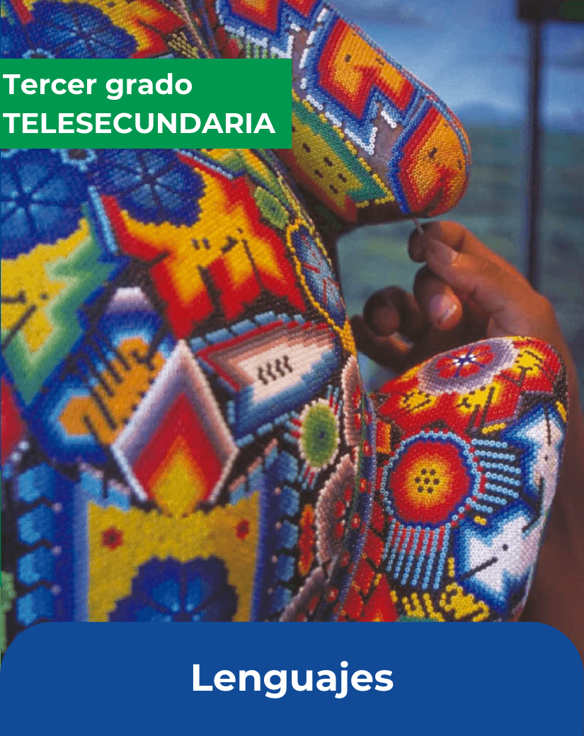 libro Lenguajes tercer grado de telesecundaria