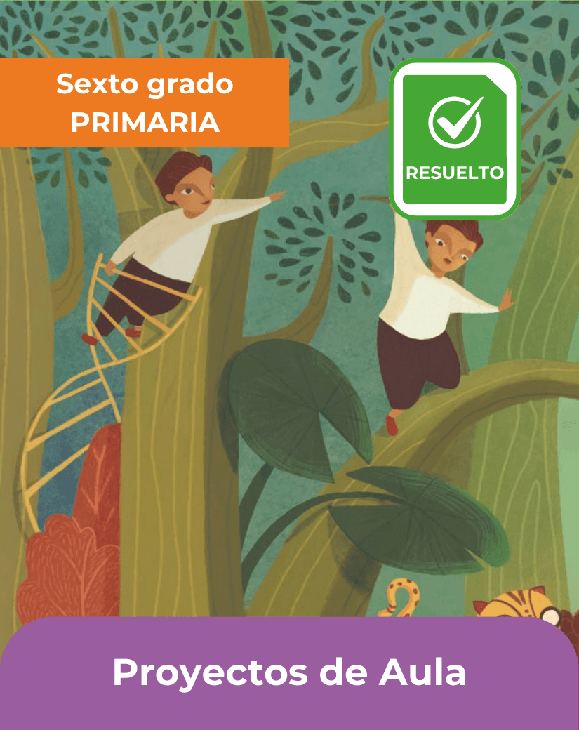 libro resuelto proyectos de aula sexto grado de primaria