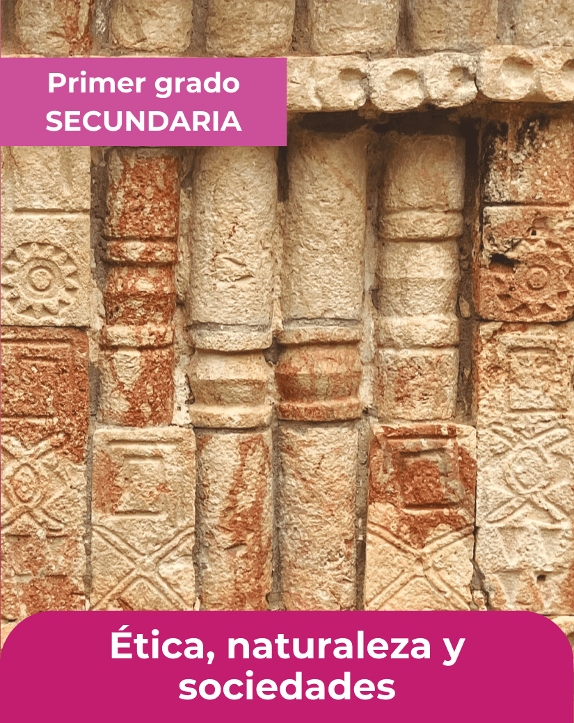 libro ética naturaleza y sociedades primer grado de secundaria