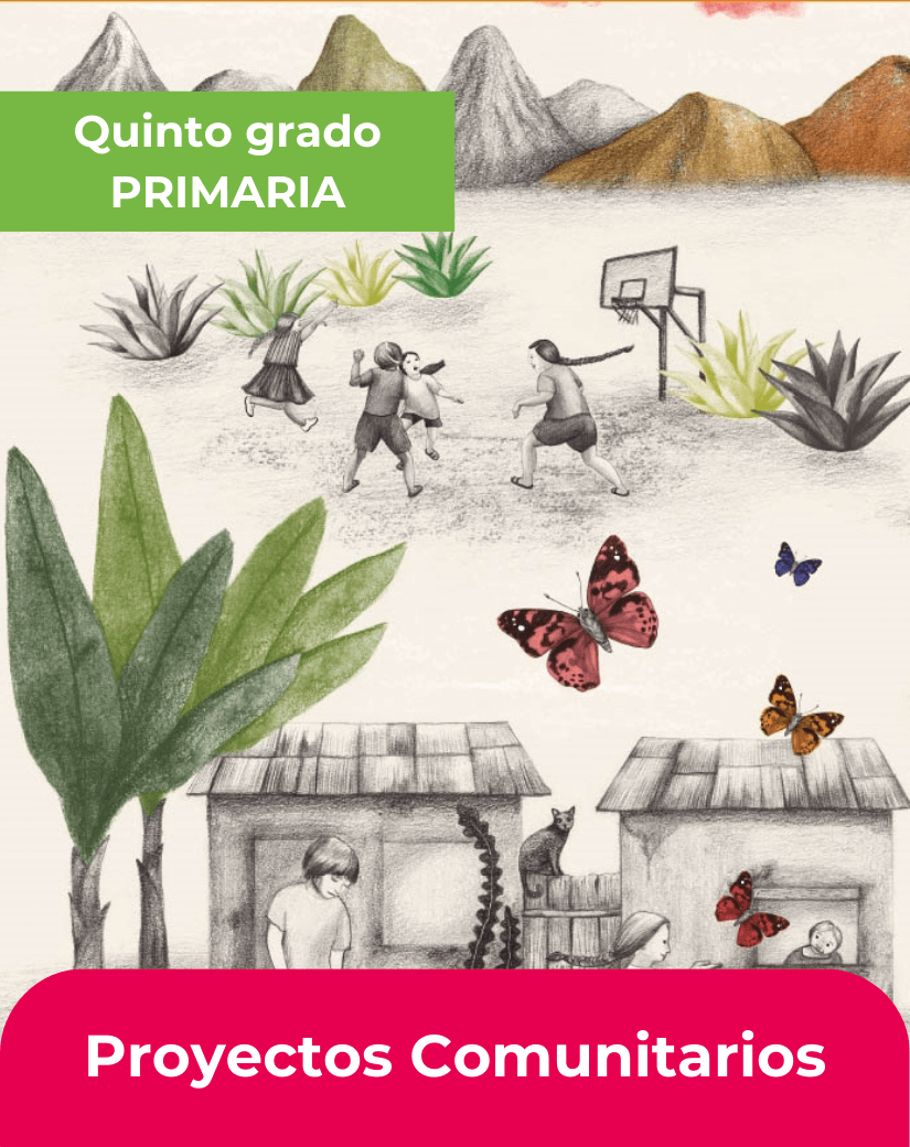 libro proyectos comunitarios quinto grado