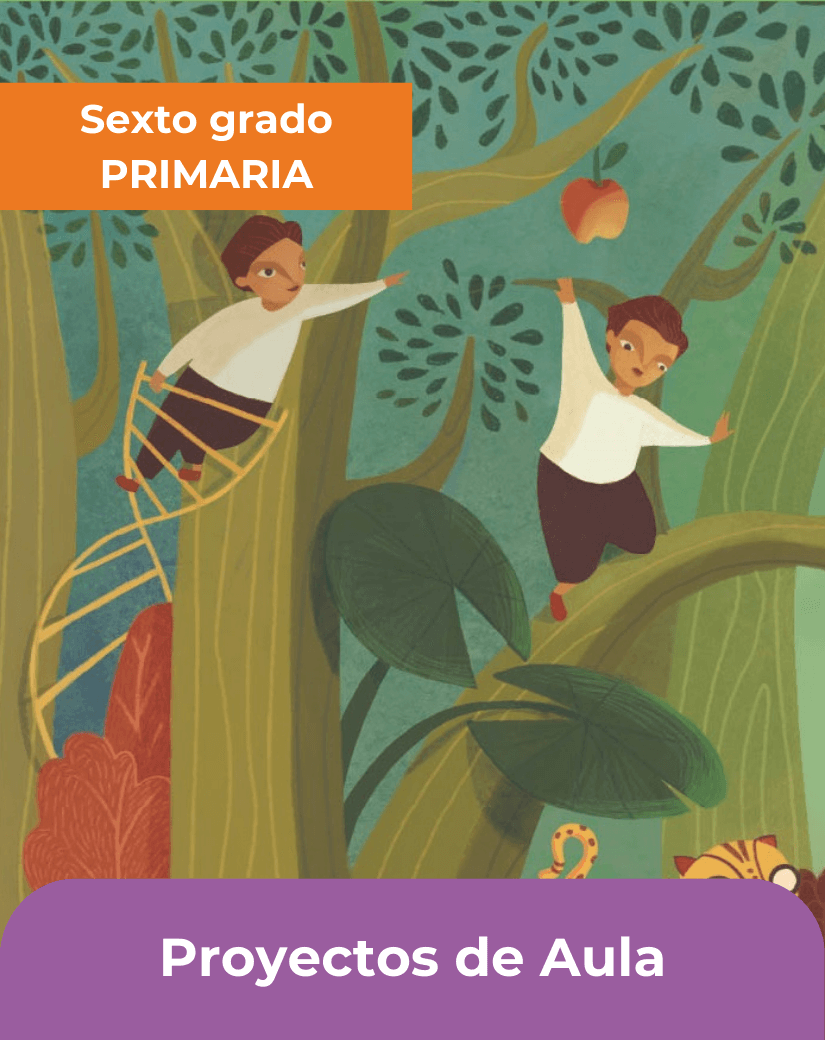 libro proyectos de aula sexto grado de primaria