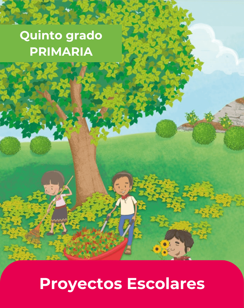 libro proyectos escolares quinto grado